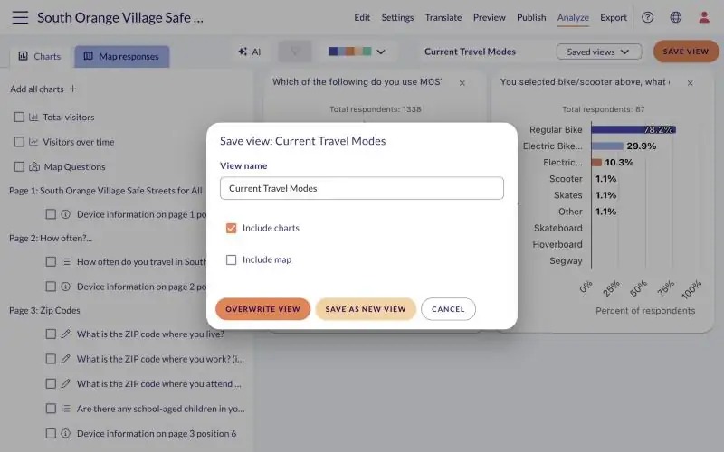 Save view dialog with the Overwrite view button